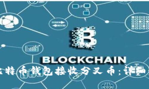如何使用比特币钱包接收分叉币：详细步骤与技巧
