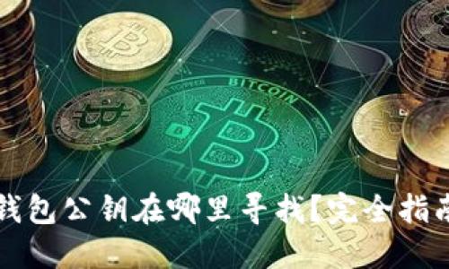 比特币钱包公钥在哪里寻找？完全指南与解答