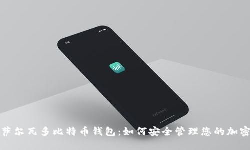 探索萨尔瓦多比特币钱包：如何安全管理您的加密资产