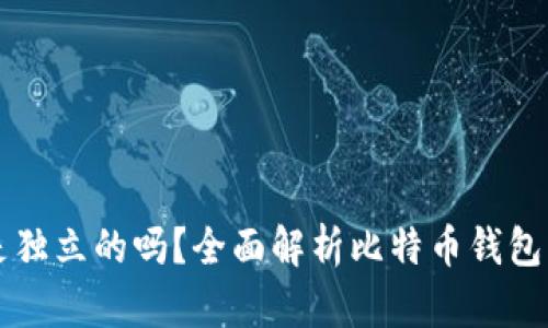 比特币钱包是独立的吗？全面解析比特币钱包的类型与功能
