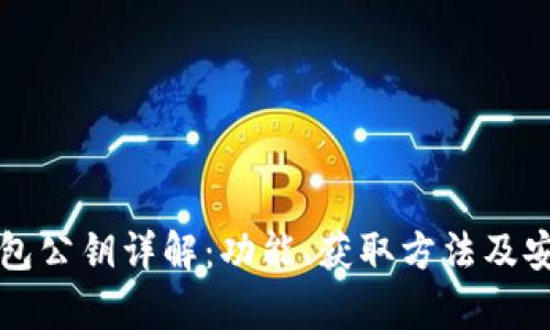 狗狗币钱包公钥详解：功能、获取方法及安全性分析