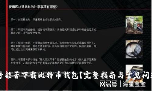非小号能否下载比特币钱包？完整指南与常见问题解析