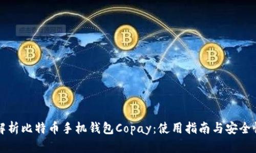 全面解析比特币手机钱包Copay：使用指南与安全性分析