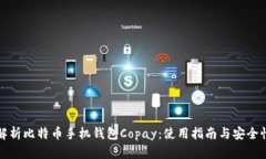 全面解析比特币手机钱包