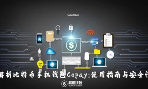 全面解析比特币手机钱包Copay：使用指南与安全性分析