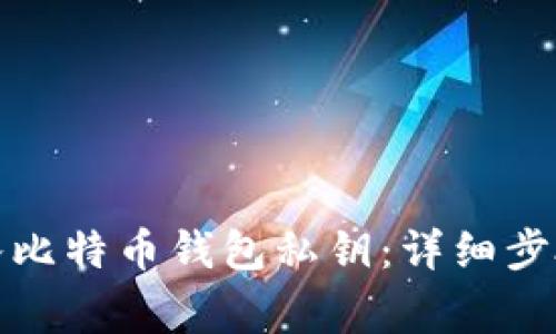 如何安全导入比特币钱包私钥：详细步骤与注意事项
