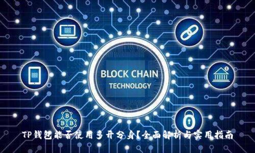 TP钱包能否使用多开分身？全面解析与实用指南