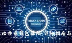 如何修改比特币钱包源码：详细指南与最佳实践