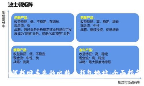 如何找回丢失的比特币钱包地址：全面指南