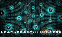 如何比特币钱包以应对100多GB的更新数据