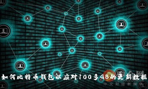 如何比特币钱包以应对100多GB的更新数据