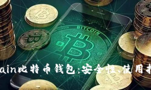 全面解析Bitmain比特币钱包：安全性、使用指南与常见问题