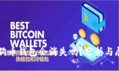 狗狗币钱包会消失吗？分