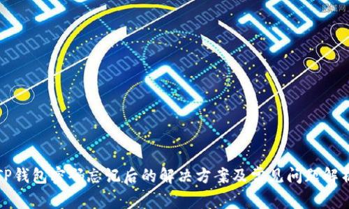 TP钱包密码忘记后的解决方案及常见问题解析