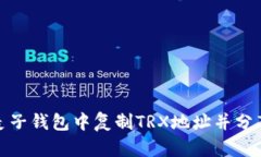 如何在麦子钱包中复制T