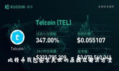 比特币钱包安装失败的原