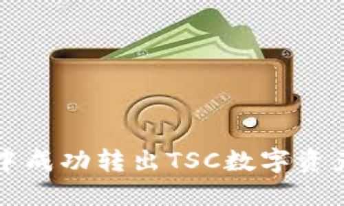 如何在TP钱包中成功转出TSC数字资产的全流程指南