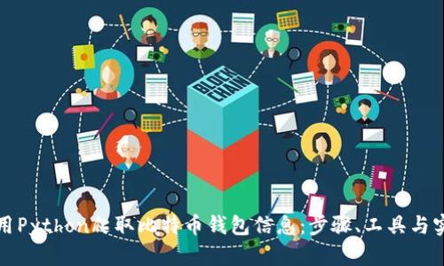 如何使用Python爬取比特币钱包信息：步骤、工具与实用技巧