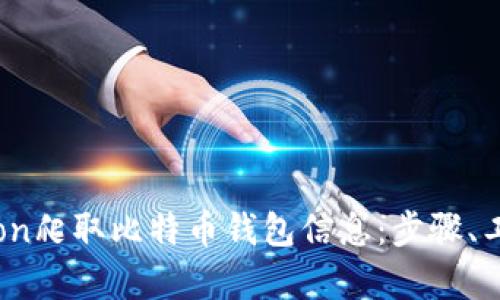 如何使用Python爬取比特币钱包信息：步骤、工具与实用技巧