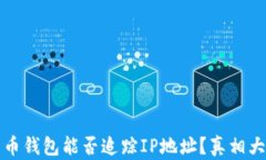比特币钱包能否追踪IP地址