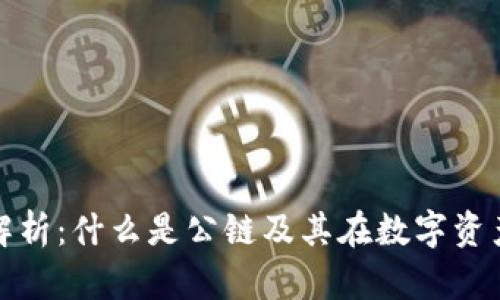 TP钱包上的公链解析：什么是公链及其在数字资产管理中的重要性