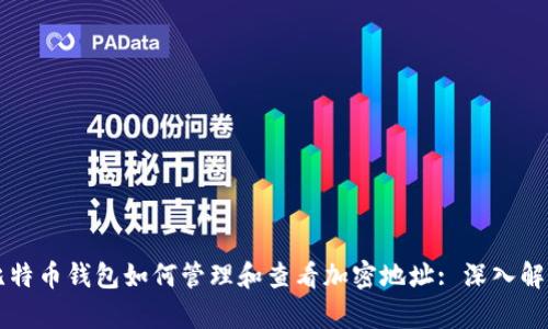 比特币钱包如何管理和查看加密地址: 深入解析