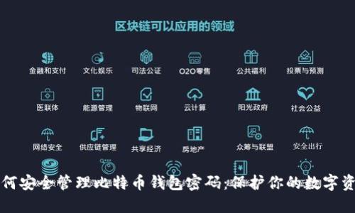 如何安全管理比特币钱包密码：保护你的数字资产