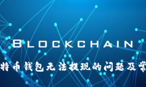 如何解决比特币钱包无法提现的问题及常见原因分析