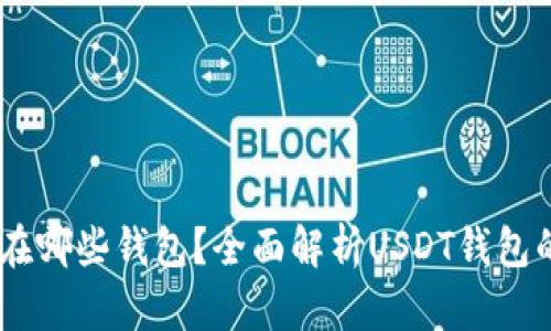 USDT可以存放在哪些钱包？全面解析USDT钱包的选择与安全性