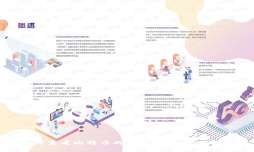 如何查看比特币的钱包地址：全面指南