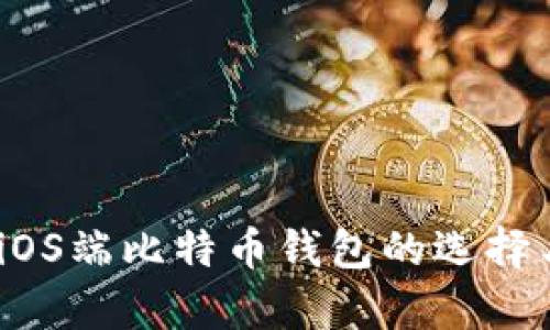 全面解析：iOS端比特币钱包的选择与使用指南