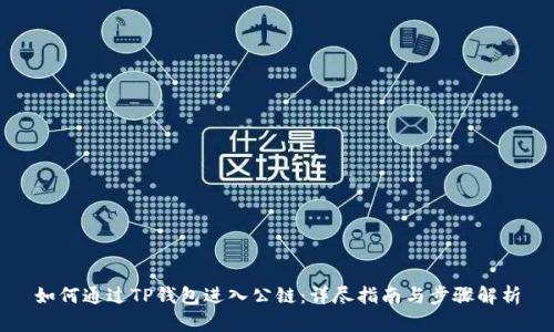 如何通过TP钱包进入公链：详尽指南与步骤解析