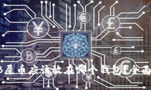 SHIB屎币应该放在哪个钱包？全面指南