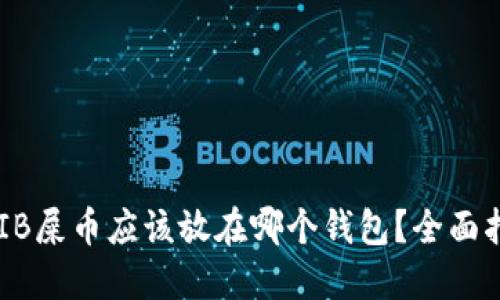 SHIB屎币应该放在哪个钱包？全面指南