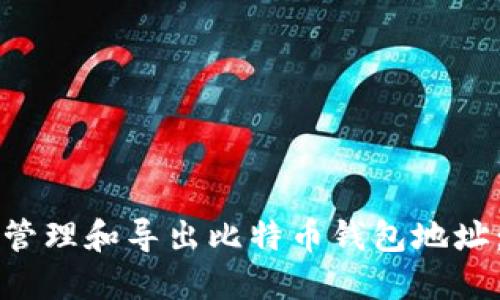 如何安全地管理和导出比特币钱包地址：全方位指南