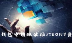 如何在TP币安钱包中转账波