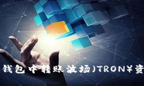 如何在TP币安钱包中转账波场（TRON）资产的详细指南
