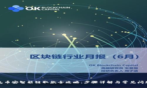 TP钱包币安智能链取款全攻略：步骤详解与常见问题解答