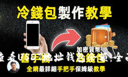 如何查看USDT地址钱包余额：全面指南