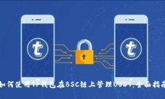 如何使用TP钱包在BSC链上管理USDT：全面指南