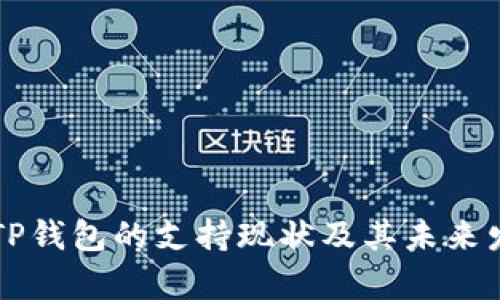 中国对TP钱包的支持现状及其未来发展分析