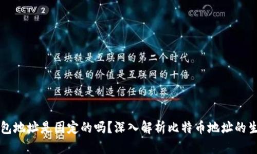 比特币钱包地址是固定的吗？深入解析比特币地址的生成与使用