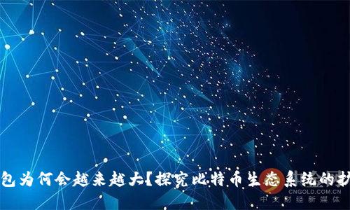 比特币钱包为何会越来越大？探究比特币生态系统的扩张与挑战