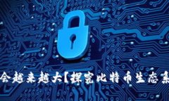 比特币钱包为何会越来越大？探究比特币生态系