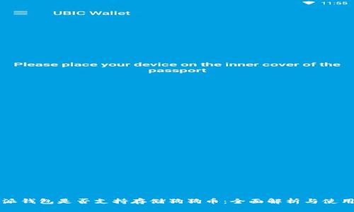 比特派钱包是否支持存储狗狗币：全面解析与使用指南