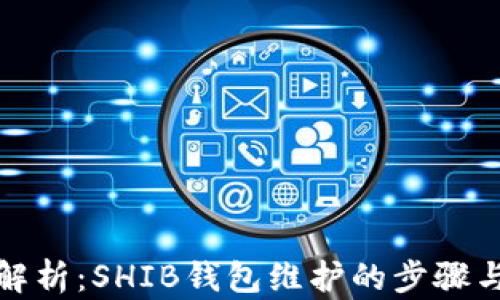 
全面解析：SHIB钱包维护的步骤与技巧