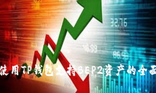 如何使用TP钱包支持BEP2资产的全面指南