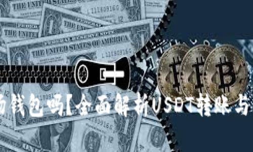 假USDT能转到波场钱包吗？全面解析USDT转账与波场钱包的兼容性