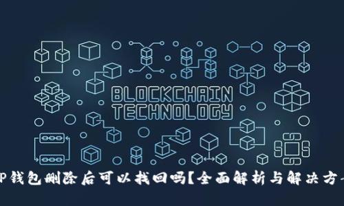 TP钱包删除后可以找回吗？全面解析与解决方案