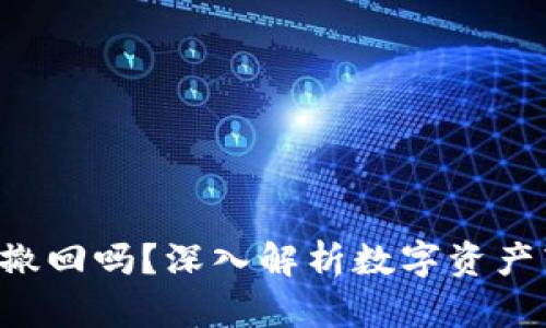 Token钱包转账能撤回吗？深入解析数字资产转账的不可逆特性